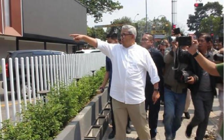 Terungkap jenis pohon yang ditebang tanpa izin di Jalan Riau Bandung hingga bikin Farhan ngamuk